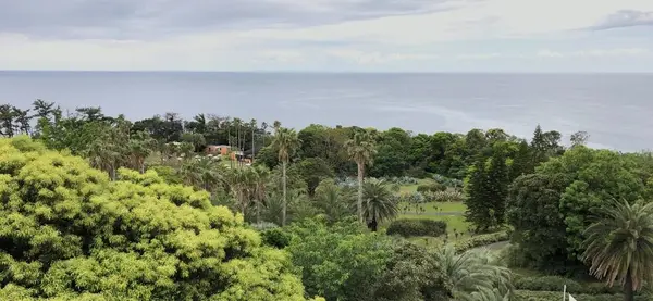 初島灯台の写真・動画_image_304204