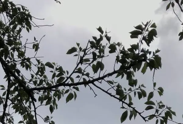熱海城の写真・動画_image_304207