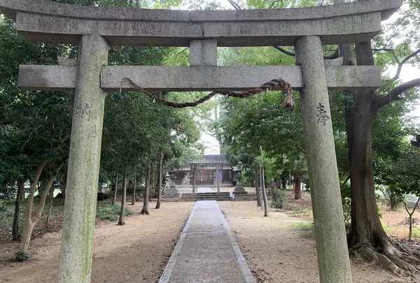 天太玉命神社の写真・動画_image_304225