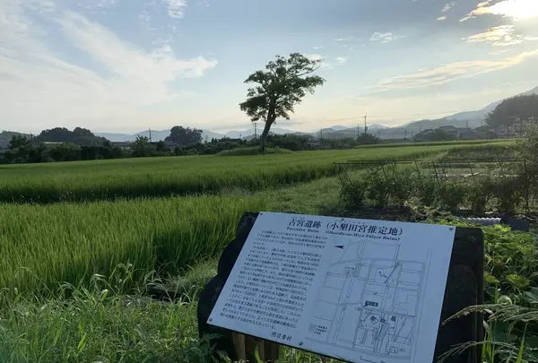 古宮遺跡(伝推古天皇小墾田宮跡)の写真・動画_image_304238