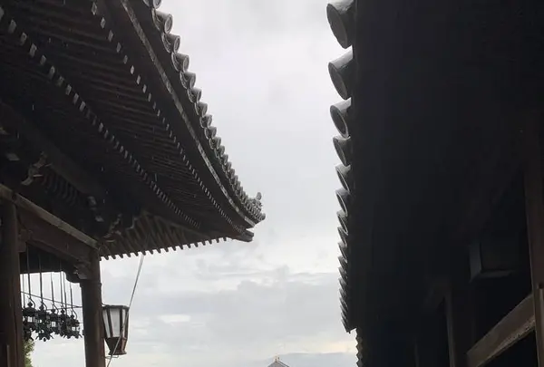 東大寺二月堂の写真・動画_image_304239