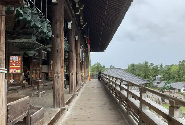 東大寺二月堂の写真・動画_image_304241