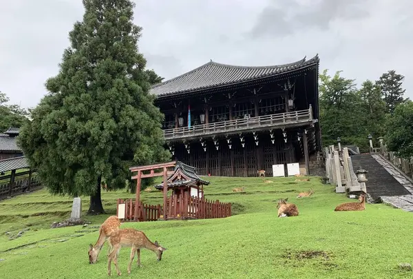 東大寺二月堂の写真・動画_image_304243