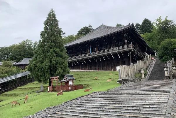東大寺二月堂の写真・動画_image_304244