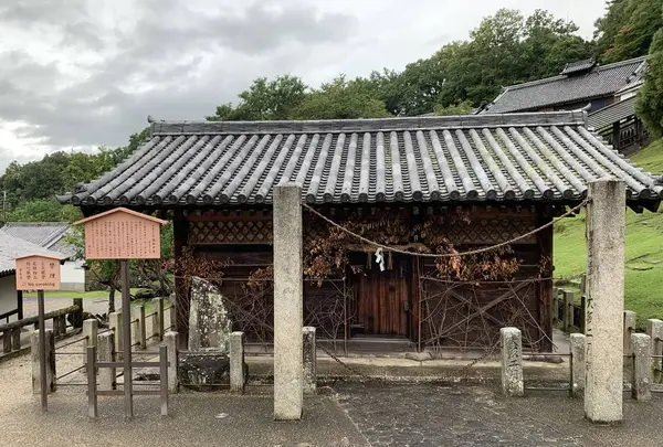 東大寺二月堂の写真・動画_image_304245