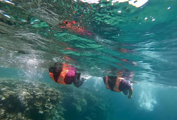 吉田サバニ造船（久宇良サバニツアー）の写真・動画_image_304368