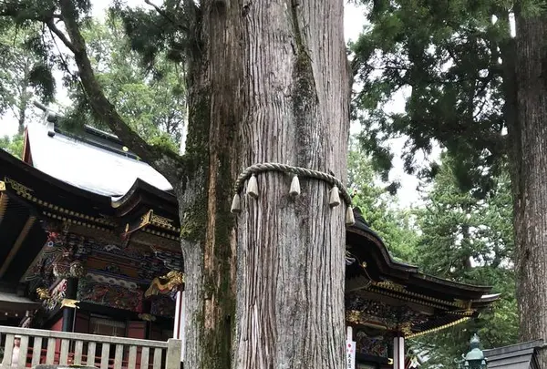 三峯神社の写真・動画_image_304457