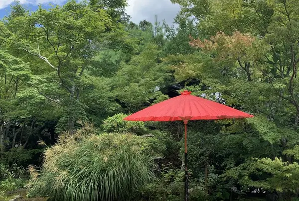 円通院の写真・動画_image_304596