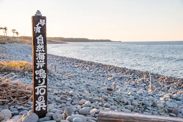 鳴り石の浜の写真・動画_image_304639