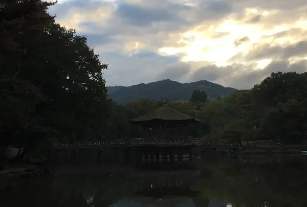浮御堂の写真・動画_image_304856