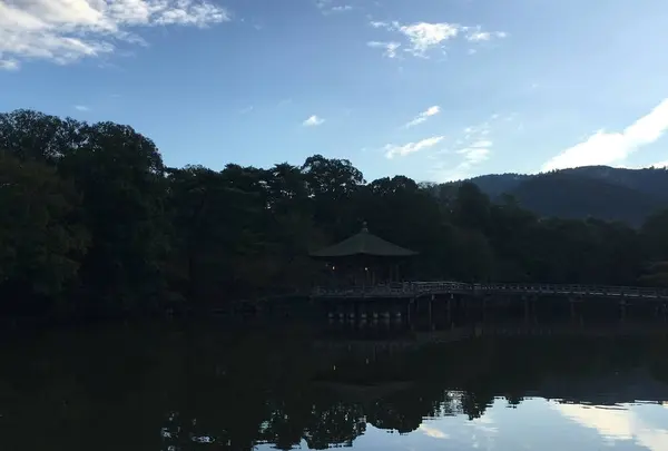 浮御堂の写真・動画_image_304858
