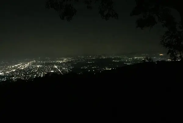 若草山の写真・動画_image_304861
