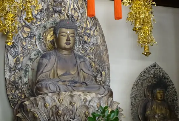 妙興寺の写真・動画_image_304868