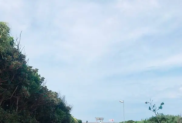芥屋の大門公園の写真・動画_image_304932