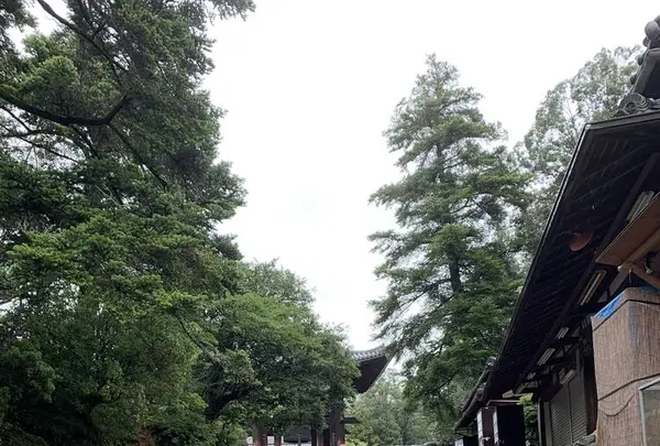 東大寺鐘楼(奈良太郎)の写真・動画_image_305178