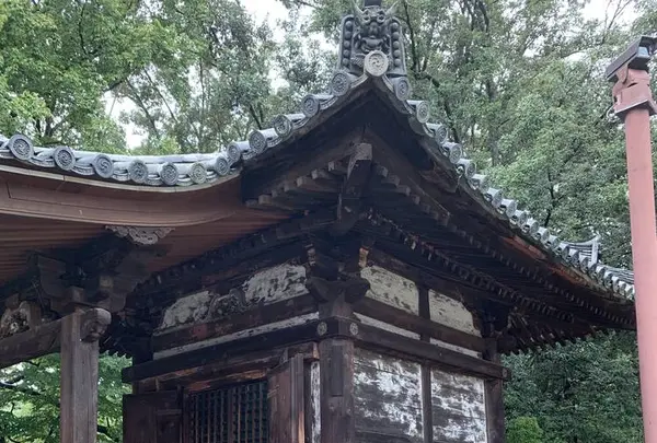 東大寺鐘楼(奈良太郎)の写真・動画_image_305183