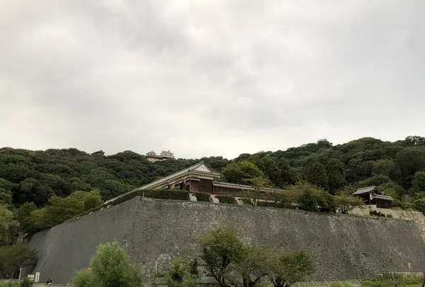 松山城の写真・動画_image_305555