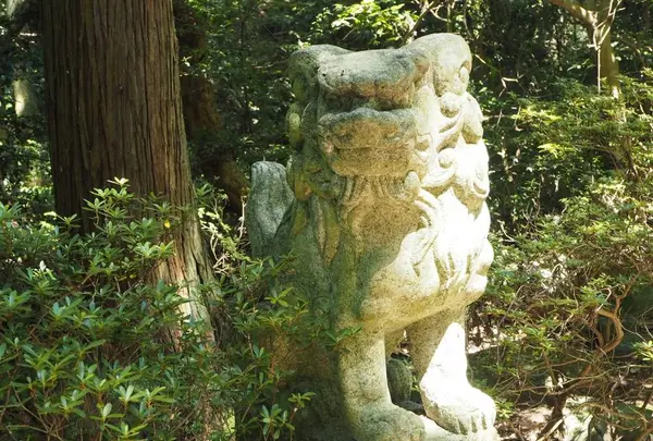 能登國一宮 気多大社の写真・動画_image_305673