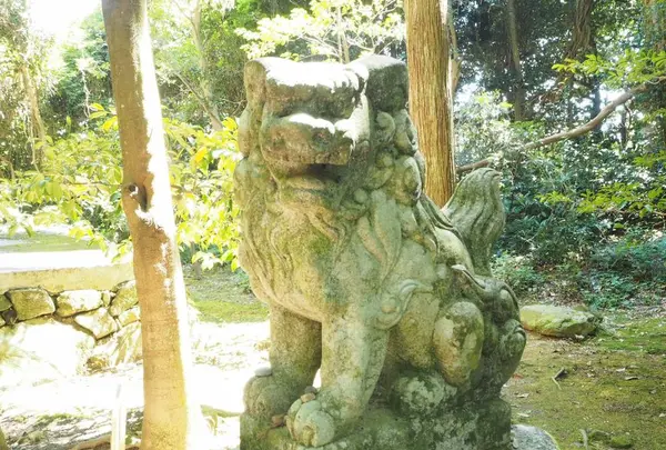 能登國一宮 気多大社の写真・動画_image_305674