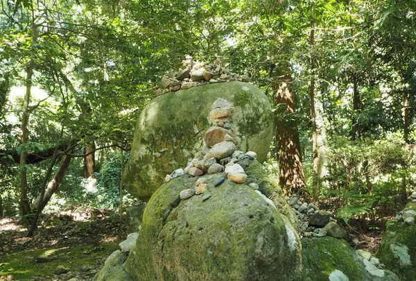 能登國一宮 気多大社の写真・動画_image_305675
