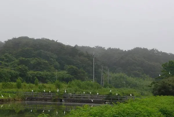 手樽海浜公園の写真・動画_image_305764