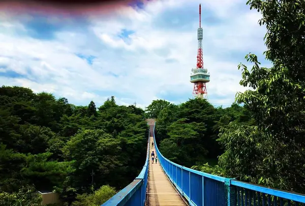 八幡山公園 宇都宮タワーの写真・動画_image_305820