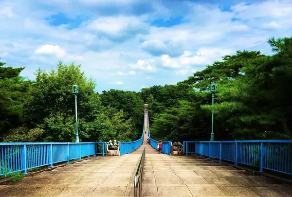 八幡山公園 宇都宮タワーの写真・動画_image_305821