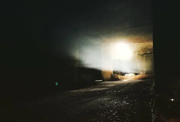 大谷石採石場跡・大谷資料館の写真・動画_image_305833