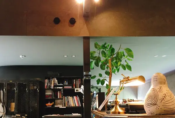 boiler®︎の写真・動画_image_305879