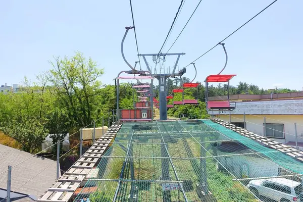 鳥取砂丘の写真・動画_image_306092