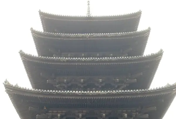 興福寺五重塔の写真・動画_image_306900
