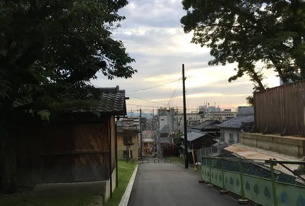 興福寺の写真・動画_image_306908