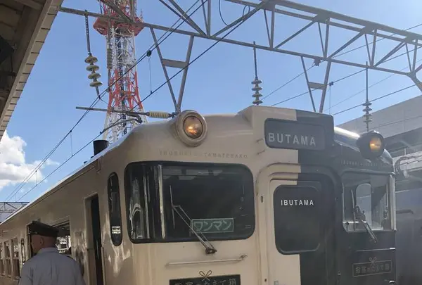 観光列車 指宿のたまて箱の写真・動画_image_306976