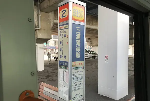 江奈湾干潟の写真・動画_image_307132