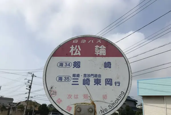 江奈湾干潟の写真・動画_image_307133