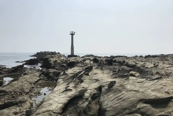 江奈湾干潟の写真・動画_image_307135