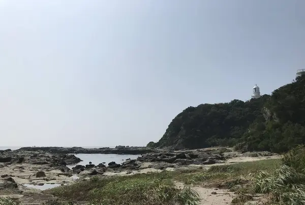 江奈湾干潟の写真・動画_image_307138