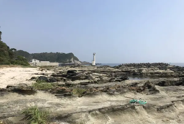 江奈湾干潟の写真・動画_image_307139