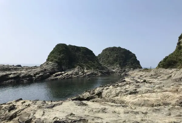 江奈湾干潟の写真・動画_image_307140