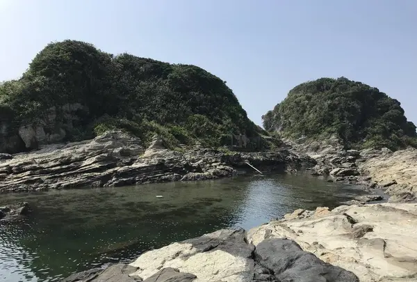 江奈湾干潟の写真・動画_image_307141