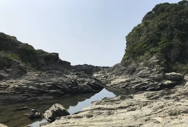 江奈湾干潟の写真・動画_image_307142