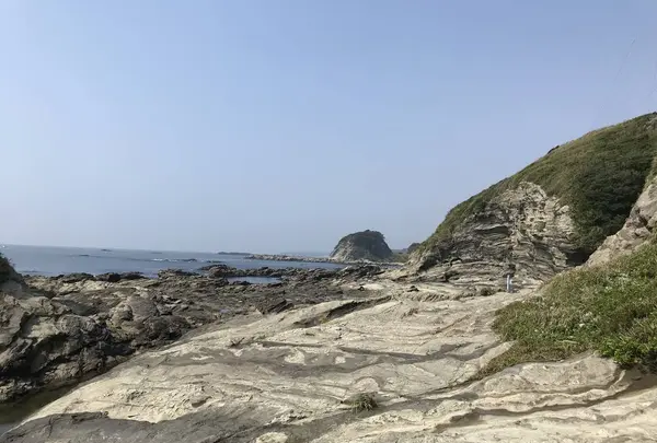 江奈湾干潟の写真・動画_image_307143