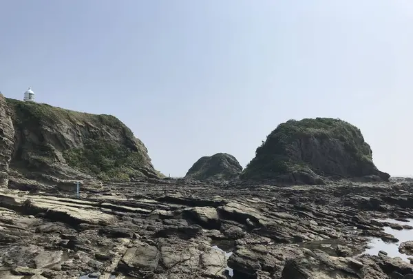 江奈湾干潟の写真・動画_image_307144