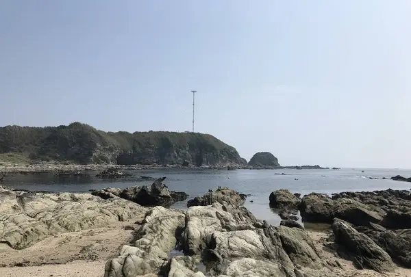 江奈湾干潟の写真・動画_image_307146