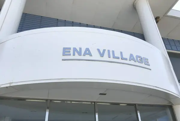 江奈湾干潟の写真・動画_image_307148