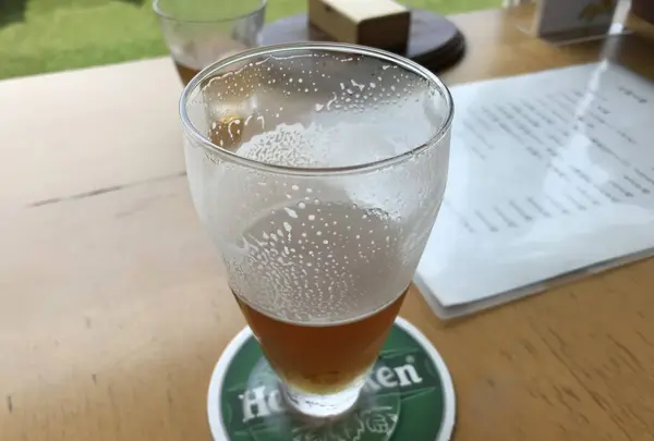 江奈湾干潟の写真・動画_image_307151