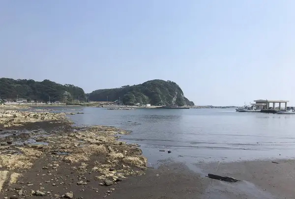 盗人狩の写真・動画_image_307156