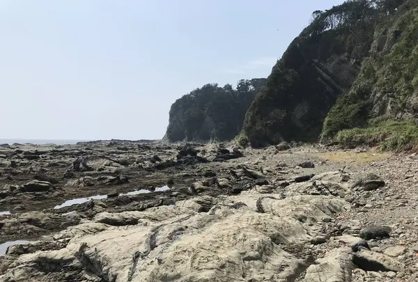 盗人狩の写真・動画_image_307162