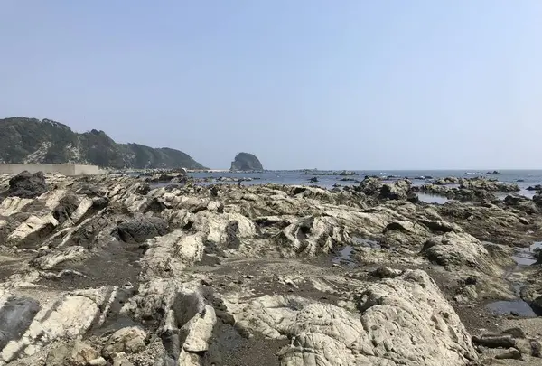 盗人狩の写真・動画_image_307165