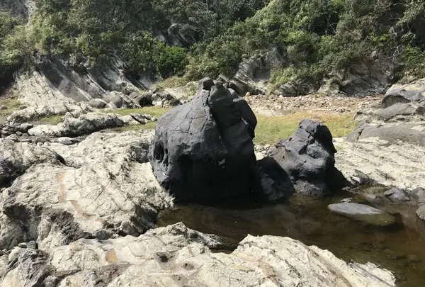 盗人狩の写真・動画_image_307167